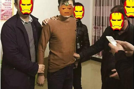 和政专业讨债公司，追讨消失的老赖